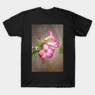 A Tropical Vine T-Shirt